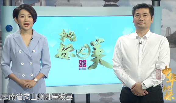 解码中华地标-老山古树茶