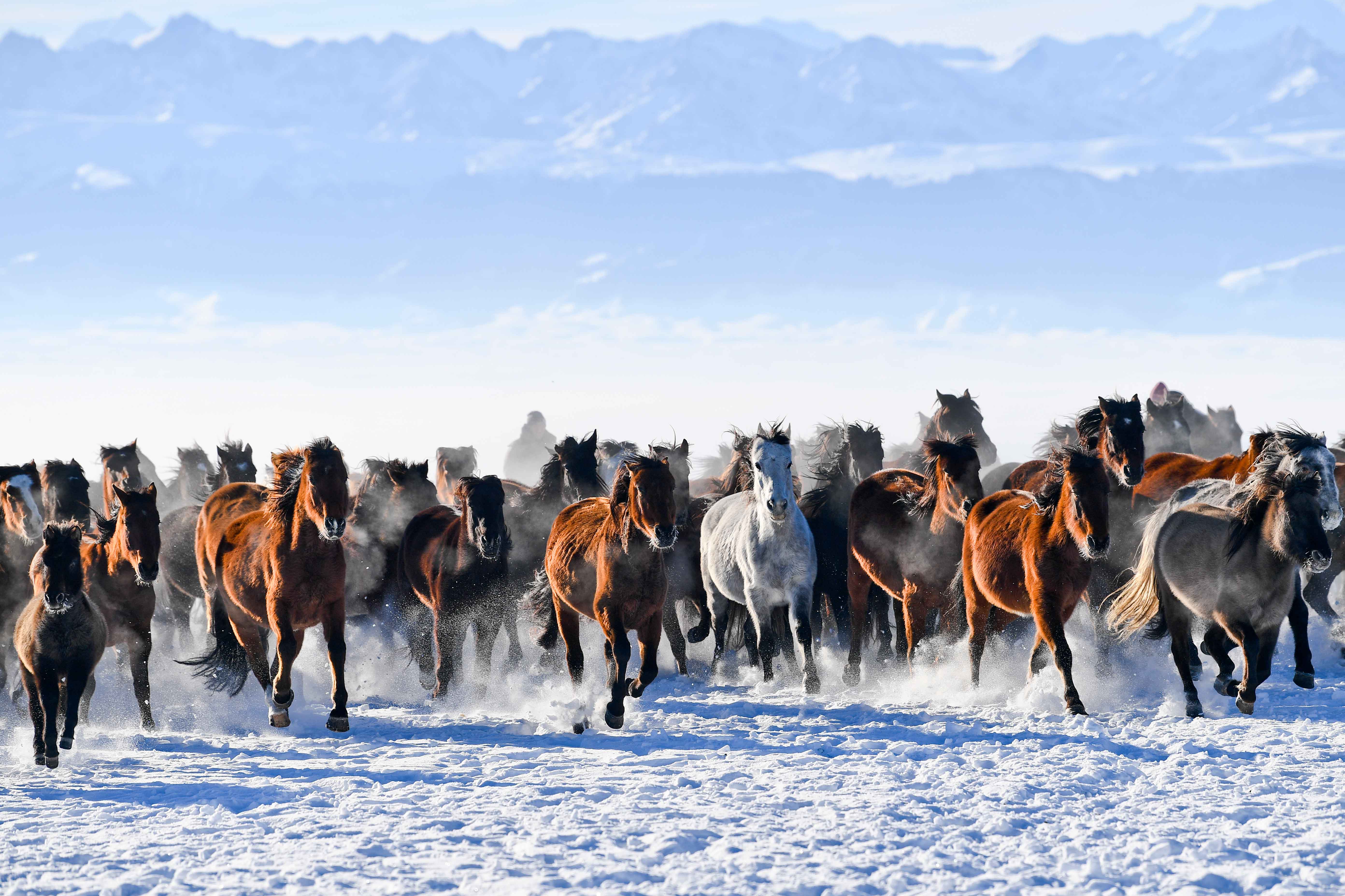 天马之城&middot;地标之旅